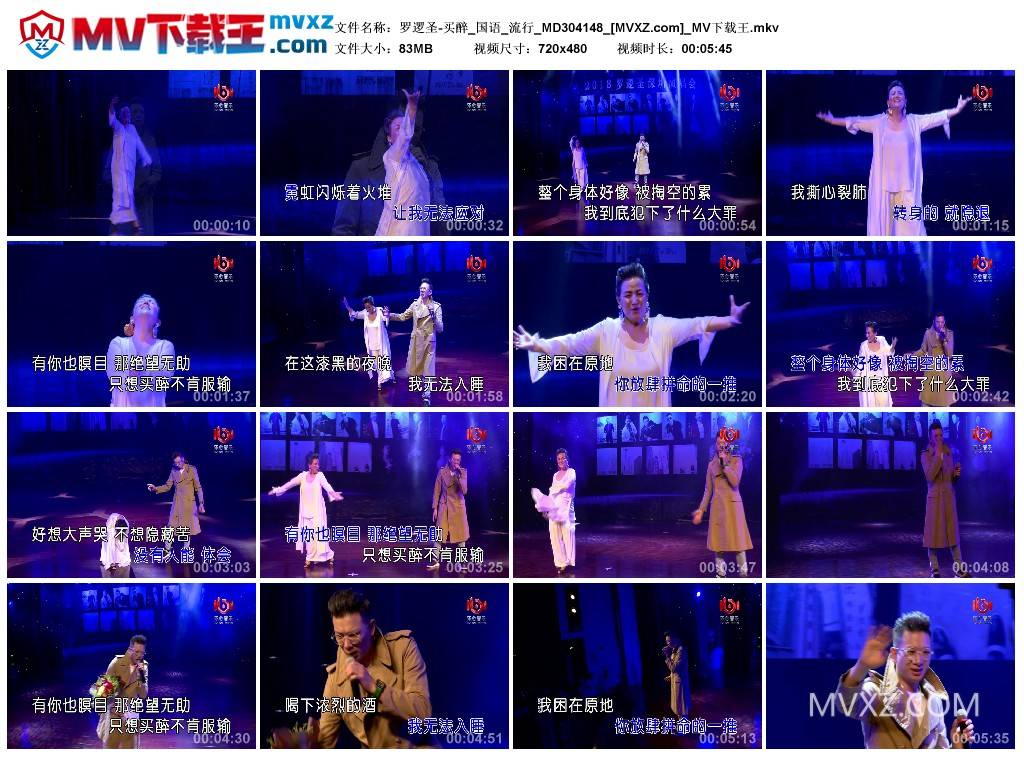 罗逻圣-买醉_国语_流行_MD304148